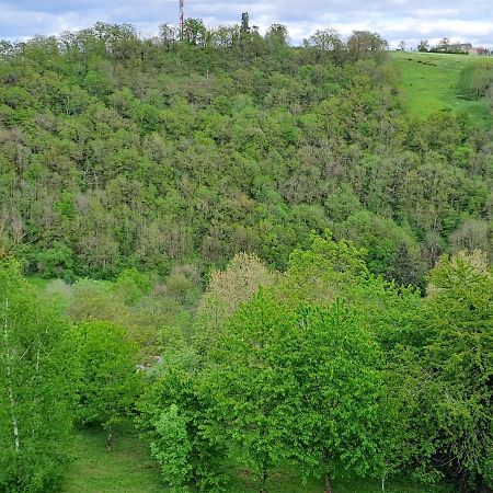 Agreable T2 Classe 3 Etoiles, Refait A Neuf, Dans Quartier Calme Rodez Eksteriør billede