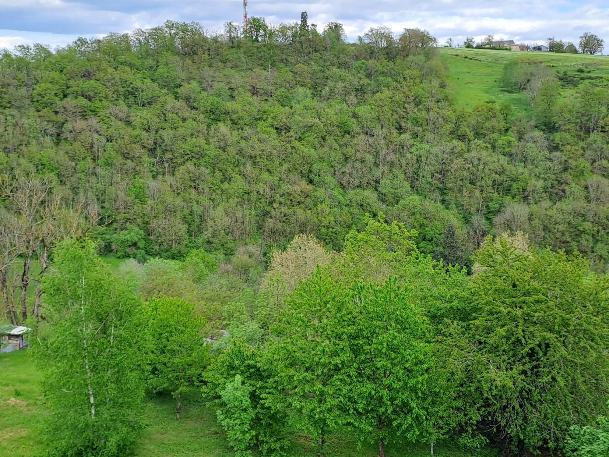 Agreable T2 Classe 3 Etoiles, Refait A Neuf, Dans Quartier Calme Rodez Eksteriør billede
